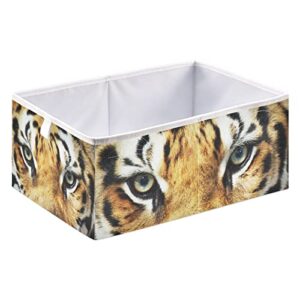 xigua Tiger Cube Storage Bin Large Collapsible Storage Basket Toys Clothes Organizer Box for Shelf Closet Bedroom Home Office, 11 x 11 x 11 Inch