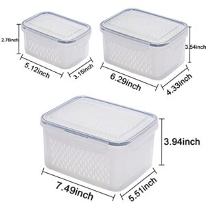 Ronanemon 3Pack Fridge Food Storage Container Set with Lids with Strainer,Plastic Fresh Produce Saver Vegetable Fruit Meat Storage Organization, BPA-Free Plastic Produce Keepers(3.15L+1.7L+0.8L)