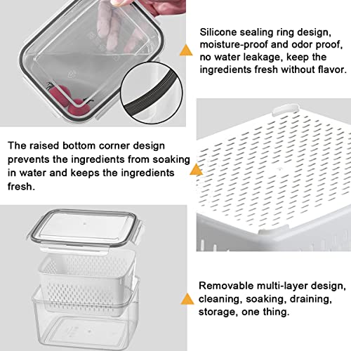 Ronanemon 3Pack Fridge Food Storage Container Set with Lids with Strainer,Plastic Fresh Produce Saver Vegetable Fruit Meat Storage Organization, BPA-Free Plastic Produce Keepers(3.15L+1.7L+0.8L)