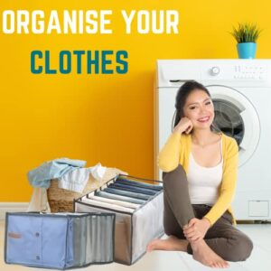 Easy Haz Clothes Organizer, Foldable Closet Divider T-shirt, Jeans, Underwear Storage, Washable Mesh Wardrobe Cloth Organizer (5) (COF-001)