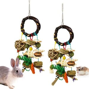 bnosdm 2 pcs rabbit chew toys for bunnies cage hanging guinea pig chewing toys rattan ring with snacks natural small animals teeth grinding toy for hamster chinchilla ferret hedgehog