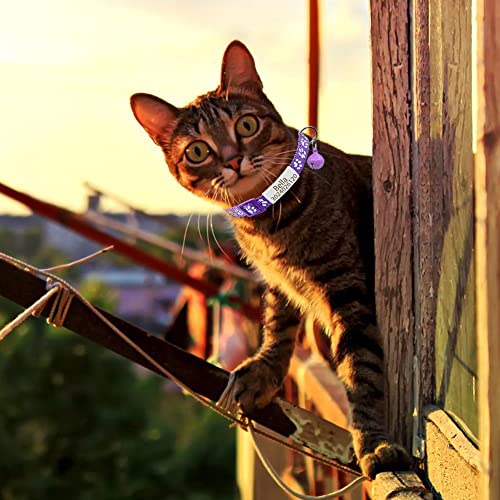 Personalized 2 Pack Reflective Cat Collar,Custom Breakaway Cat Collars with Name Tag and Bell,Anti-Lost Nameplate Cat Collar for Girls & Boys (Purple,fit 8''-11.0'')