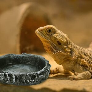 Ipetboom Reptile Food Bowl Reptile Water Bowls Reptile Feeder Food Dish Simulated Rock Food Bowl Terrarium Water Bowls Worm Dish for Tortoise Lizard Bearded Dragon Frog Leopard Gecko Snake