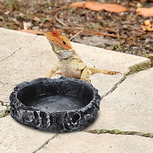 Ipetboom Reptile Food Bowl Reptile Water Bowls Reptile Feeder Food Dish Simulated Rock Food Bowl Terrarium Water Bowls Worm Dish for Tortoise Lizard Bearded Dragon Frog Leopard Gecko Snake