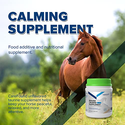 CareFound Taurine Pure Powder Support of Proper Nerve Transmission No Additives for Horse 1000g
