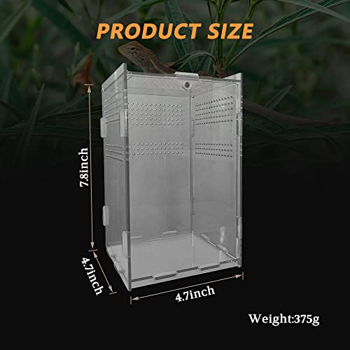 JOBEDE Acrylic Reptile Terrarium, Transparent Reptile Tank Habitat Terrariums Mini Enclosure Feeding Breeding Box with Cover for Tarantula Isopod Roach InvertebratesGecko Frog （5“x5”x8“）