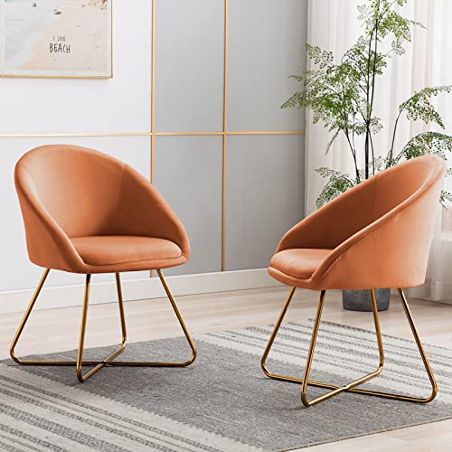 Artechworks Modern Velvet Dinning Chair with Golden Legs, Lounge Chair Set of 2, Accent Armchair for Living Dining Room Bedroom Reception Chair, Caramel