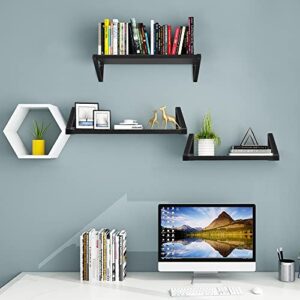 Lixintray Wall-Mounted Floating Shelves Set of 3，Storage Shelves for Living Room/Bedroom/Bathroom/Kitchen/Room Storage and Decorative Steel