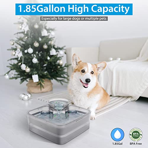 Upgraded 1.85Gal Dog Water Fountain, Automatic Cat Water Fountain Pet Water Dispenser with Double Filter Specially for Large Dogs and Multiple Pets