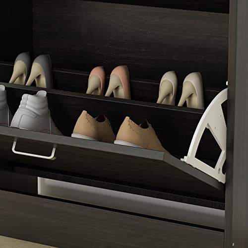 AIEGLE Shoe Cabinet with 2 Flip Drawers for Entryway, Freestanding Shoe Rack Shoe Organiazer with Adjustable Shelf, Shoe Storage Cabinet, Black Walnut (23.6" W x 9.4" D x 31.4" H)