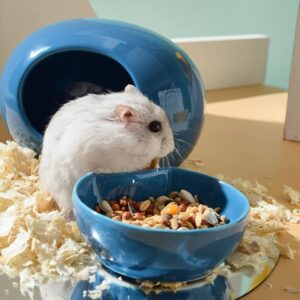 Weixiyang Ceramic Hamster House and Bowl, Hamster Supplies, Small Animal Habitat Decoration, Small pet pet cage Accessories Nesting Basin, Ideal for Dwarf Hamsters and Gerbils (Blue)