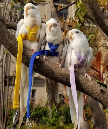 Pet Parrot Bird Harness Leash Adjustable Bird Flying Harness Traction Rope with Cute Wing for Parrots Pigeons Budgerigar Lovebird Cockatiel Mynah Outdoor Training Toy (S, Blue)