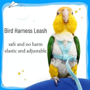 Pet Parrot Bird Harness Leash Adjustable Bird Flying Harness Traction Rope with Cute Wing for Parrots Pigeons Budgerigar Lovebird Cockatiel Mynah Outdoor Training Toy (S, Blue)