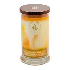 my golden firefly scented candles for home and spa | citrus punch candle | 70+ burning hours, 16 oz large candle | all natural soy candle, notes of lemon verbena, white tea, ginger (citrus punch)
