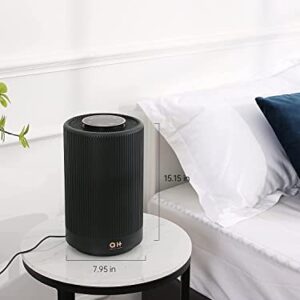 FULMINARE Air Purifiers for Home, H13 True HEPA Air Purifiers for Bedroom,Pets,Office, Portable Small Air Filters Quiet Air Cleaner Remove 99.97% 0.01 Microns Dust, Smoke, Pollen, Odor, Particles