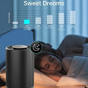 FULMINARE Air Purifiers for Home, H13 True HEPA Air Purifiers for Bedroom,Pets,Office, Portable Small Air Filters Quiet Air Cleaner Remove 99.97% 0.01 Microns Dust, Smoke, Pollen, Odor, Particles