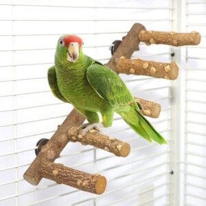 bird ladder perch cage nature wood stand parrot chew toy for small medium parrot animal (m)