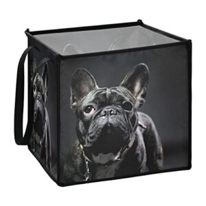 ALAZA Collapsible Storage Basket - Black French Bulldog Rotary Folding Storage Basket Container Organizer Bags - Large Clothes Hamper Tote with Carry Handles(229ya1e)