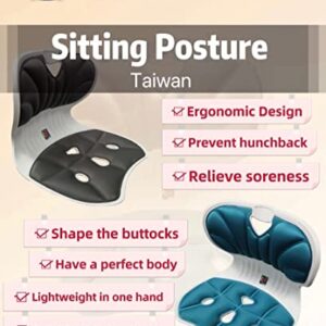 Taiwan Hip Comfortable Lumbar Back Support. Perfect for Home, Office, Desk Chair. Technology for Pelvic Correction. Low Back (Grey) Pain Relief