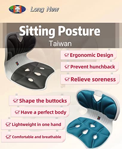 Taiwan Hip Comfortable Lumbar Back Support. Perfect for Home, Office, Desk Chair. Technology for Pelvic Correction. Low Back (Grey) Pain Relief