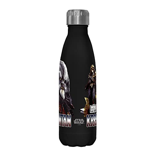 Star Wars Questions Later 17 oz Stainless Steel Water Bottle, 17 Ounce, Multicolored