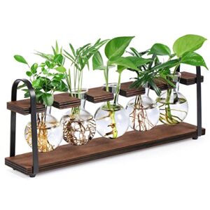 thygiftree plant propagation stations with wooden stand, desktop retro plant terrarium bulb vase for indoor hydroponic flowers, tabletop glass planter housewarming gifts for plant lovers