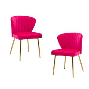 zobido set of 2 accent chair glam velvet dining room side chair with golden metal legs tufted back accent chair for home living room/bedroom/beauty room/dining room (rose red)