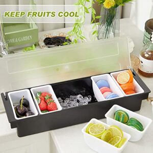 Tessco 2 Piece Ice Cooled Condiment Serving Container Chilled Garnish Tray Bar Caddy Large with Hinged Lid for Home Work or Restaurant, Black (6 Compartments)