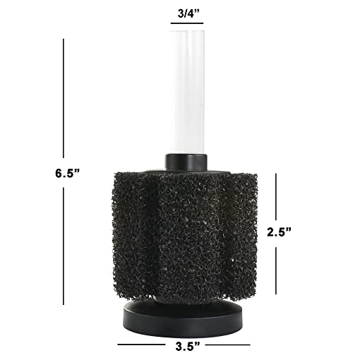 Premium Course Aquarium Sponge Filter - Medium - For Greater Intervals Between Cleaning! - Fits 5 Gallon Tanks and above- Fish Tank Sponge Filter - Compare To ATI Pro or Aquarium Co-Op Filter