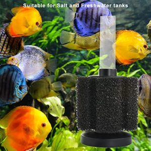 Premium Course Aquarium Sponge Filter - Medium - For Greater Intervals Between Cleaning! - Fits 5 Gallon Tanks and above- Fish Tank Sponge Filter - Compare To ATI Pro or Aquarium Co-Op Filter