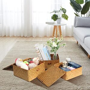 Ruosuruosu Cube Stackable Storage Bins Lids,Wicker Woven Storage Baskets Shelves,Set 4 Seagrass Storage Boxes,Rattan Storage Containers Organizing,Clothes,Toys,Books Cluttered Small Items Honey Brown