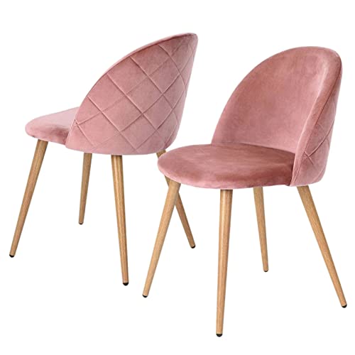 ExAchat A Set of 2/4/6 Velvet-Backed upholstered Dining Chairs with a Simple and Stylish Design, which can Perfectly Match Your Dining Room, Living Room or Bedroom. (2, Pink)