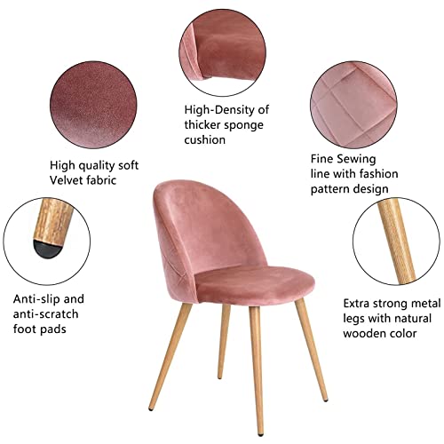 ExAchat A Set of 2/4/6 Velvet-Backed upholstered Dining Chairs with a Simple and Stylish Design, which can Perfectly Match Your Dining Room, Living Room or Bedroom. (2, Pink)