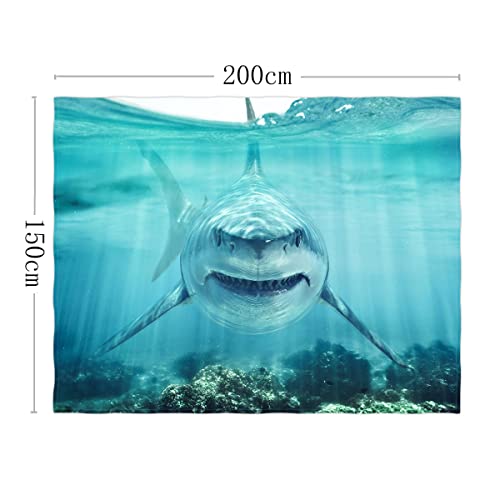 White Shark Super Soft Throw Blanket Warm & Soft Lightweight Blanket Throw Size 60"x80" for All Seasons