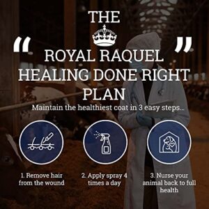 ROYAL RACQUEL Organic Wound Care for Horses, Dogs, Cats, Horses. Equine Healing Aid for Skin Repair, Clean Wounds, Relieves Allergy Skin, and Hot Spot. 12 oz Cleanser