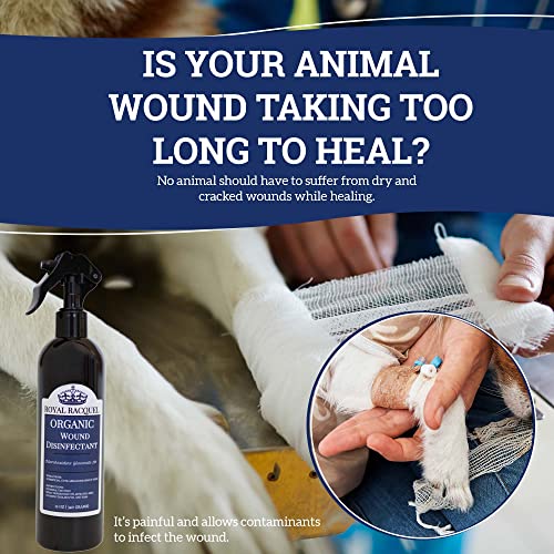 ROYAL RACQUEL Organic Wound Care for Horses, Dogs, Cats, Horses. Equine Healing Aid for Skin Repair, Clean Wounds, Relieves Allergy Skin, and Hot Spot. 12 oz Cleanser