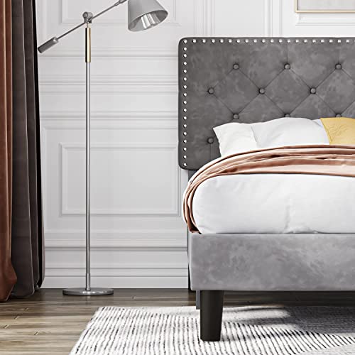 HOMBCK Upholstered Bed Frame Full with Velvet Button Tufted & Nailhead Trim Headboard, Full Bed Frame No Box Spring Needed, Wooden Slats Support, Mattress Foundation, Easy Assembly, Grey