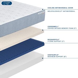 Molecule CopperWELL 12" Cooling Gel Memory Foam Medium Plush Mattress, Twin XL