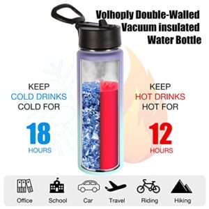 Volhoply 22 oz Insulated Water Bottles with Straw Lid, Stainless Steel Bottle with Handle, Double Walled Metal Travel Water Thermos with Wide Mouth, Reusable Water Flask for School(Purple Blue,1 Set)