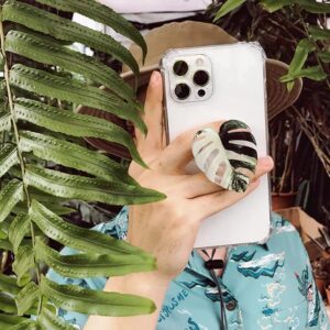 Monstera Philodendron Anthurium Leaf Tropical Aroid Plant Pop Out Phone Grip Holder Accessory (Albo Monstera)