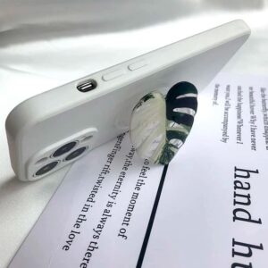 Monstera Philodendron Anthurium Leaf Tropical Aroid Plant Pop Out Phone Grip Holder Accessory (Albo Monstera)