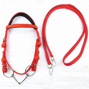 n/a classic horse riding accessories equestrian supplies full horse bridle with fixed rein red color belt for horse equipment