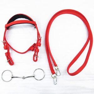 N/A Classic Horse Riding Accessories Equestrian Supplies Full Horse Bridle with Fixed Rein Red Color Belt for Horse Equipment