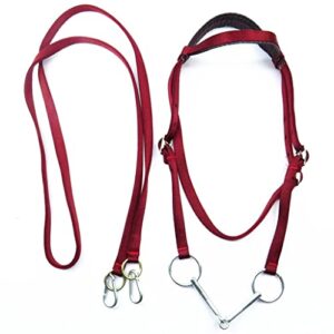 N/A Classic Horse Riding Accessories Equestrian Supplies Full Horse Bridle with Fixed Rein Red Color Belt for Horse Equipment