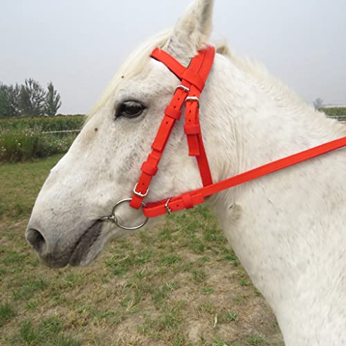 N/A Classic Horse Riding Accessories Equestrian Supplies Full Horse Bridle with Fixed Rein Red Color Belt for Horse Equipment