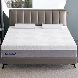 Molblly Queen Mattress, 10 inch Gel Memory Foam Queen Size Mattress in a Box, Medium Firm Bed Mattress Queen, Cool Sleep & Comfy Support, 10 Year Support