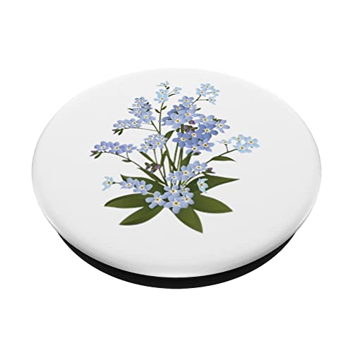 Forget-Me-Not Flower Botanical PopSockets Swappable PopGrip