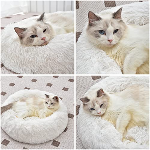 Aalklia Cat Bed Calming Soft Indoor,Washable,Anti-Slip Bottom,Cozy Plush Anti-Anxiety Fluffy Cuddler,20",White
