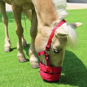 Harrison Howard Horse Grazing Muzzle Feed Bag Easy Breathe Red Large