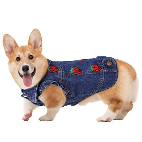 JUDYBRIDAL Pet Clothes Dog Jeans Jacket, Cool Costume Vest for Small Medium Dogs Cats, Puppy Lapel Denim Shirt Apparel for Chihuahua Yorkies (Blue XL)